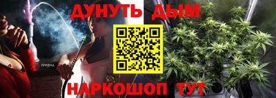 Альфа ПВП Краснознаменск