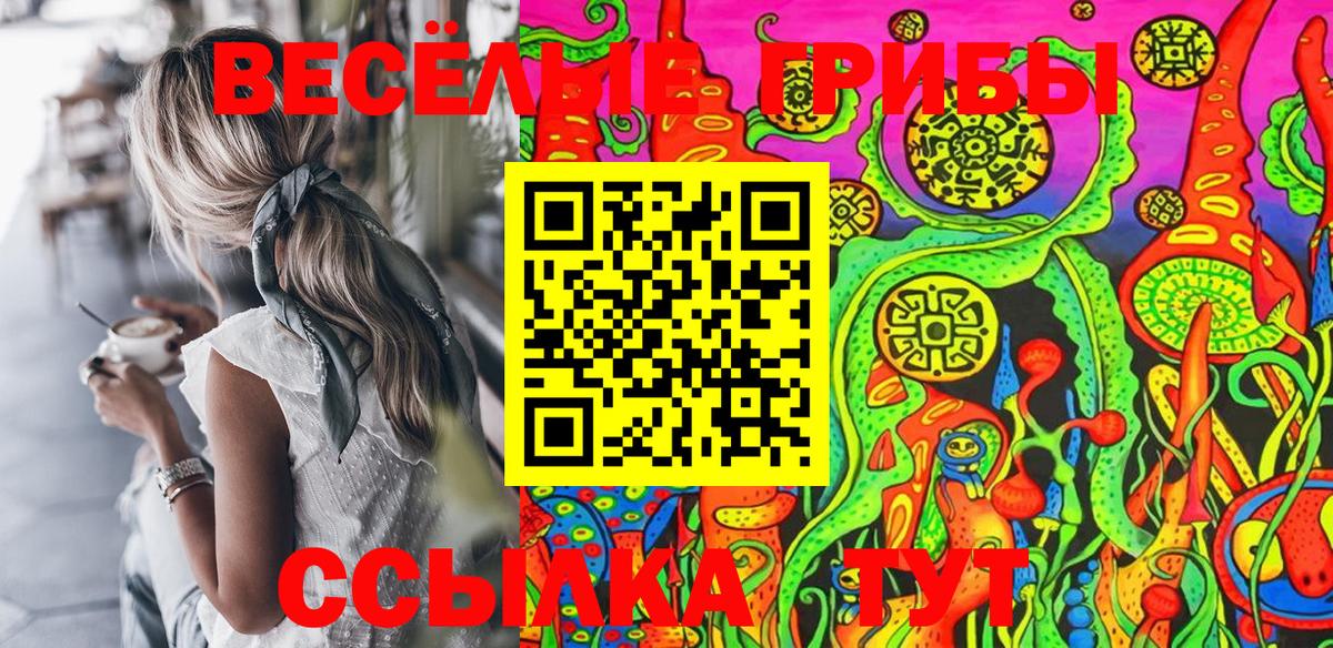 Галлюциногенные грибы ЛСД  Псилоцибиновые грибы Psilocybe  Заводоуковск  Вход с VPN 