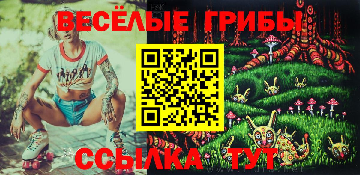 Галлюциногенные грибы Cubensis Заводоуковск